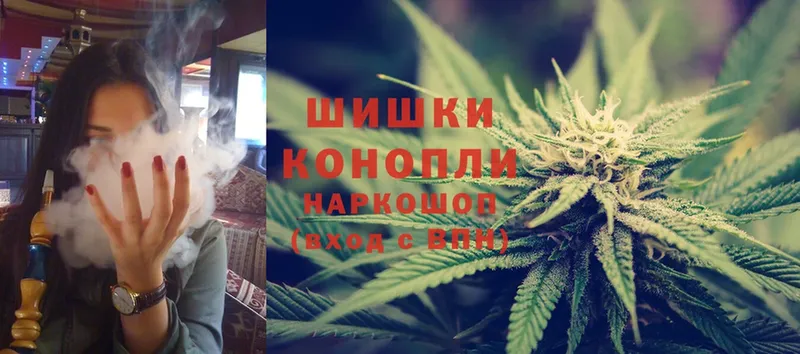 закладки  Краснознаменск  Бошки Шишки SATIVA & INDICA 